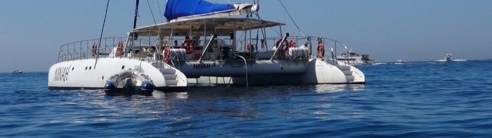 Ninah catamaran for charter for events