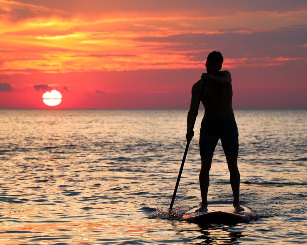 paddleboard sunset